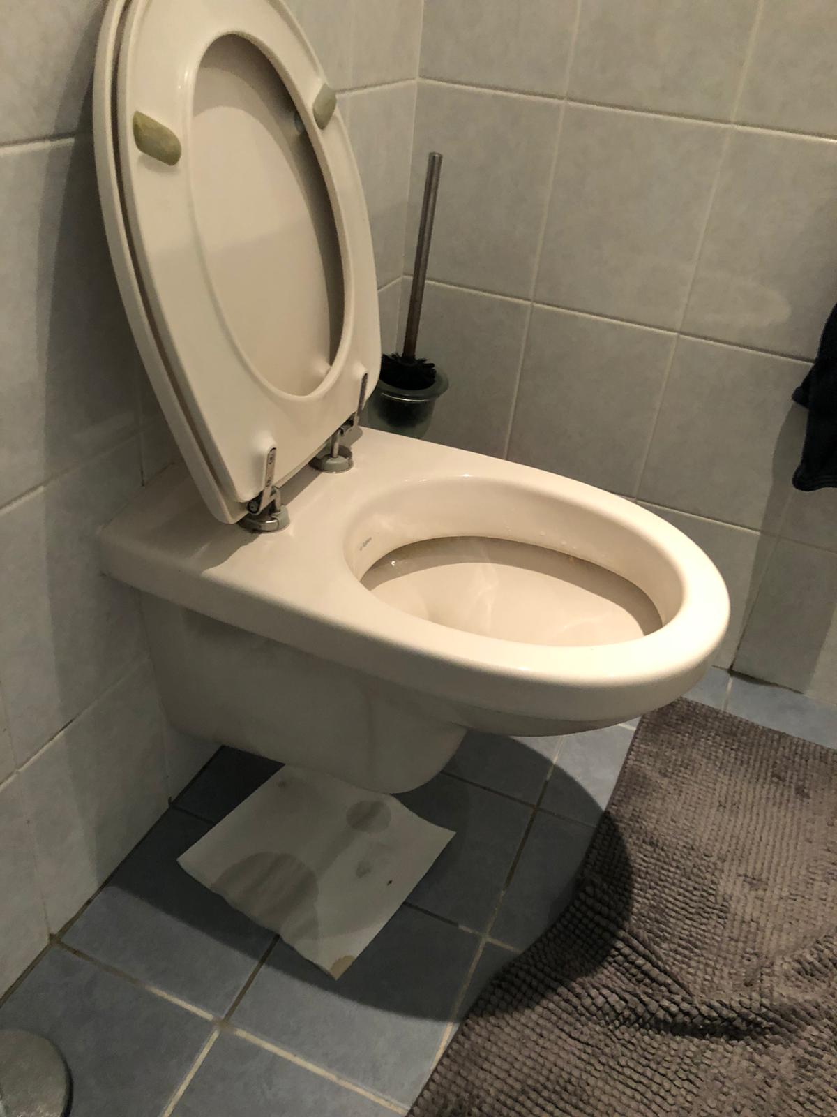 hangtoilet Breukelen